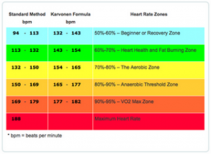 Fat Burning Zone